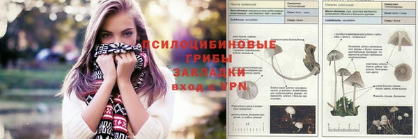 мдпв Абаза