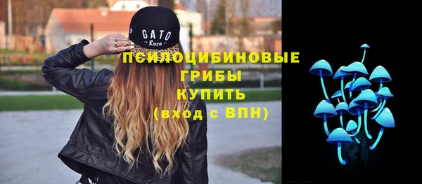 spice Абинск