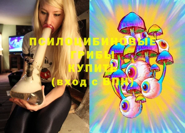 спайс Алзамай