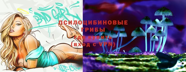 спайс Алзамай
