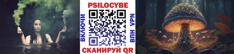 Галлюциногенные грибы Psilocybine cubensis Нягань