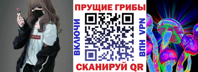 Псилоцибиновые грибы Cubensis  Нягань 