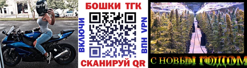 купить наркотики цена  Нягань  Бошки Шишки AK-47 