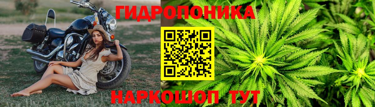 Бошки марихуана конопля  МАРИХУАНА индика  Нягань  Вход с VPN 